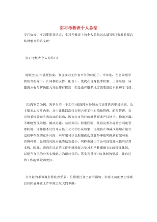 实习考核表个人总结