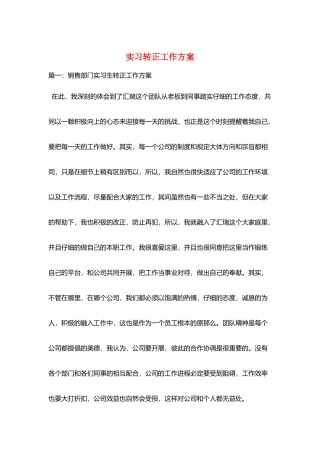 实习转正工作计划