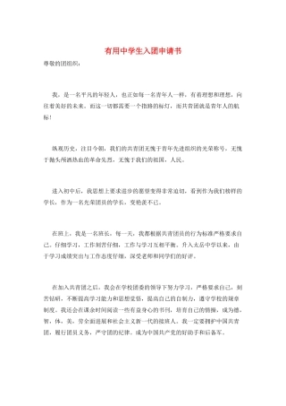 实用中学生入团申请书