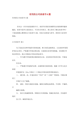 实用的公司承诺书4篇