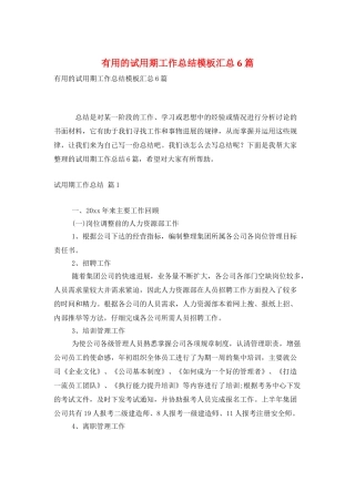实用的试用期工作总结模板汇总6篇
