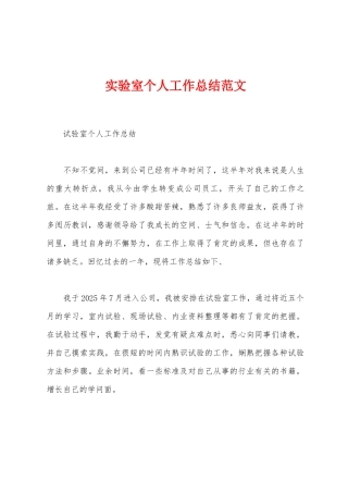 实验室个人工作总结范文