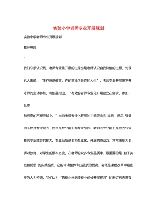 实验小学教师专业发展规划