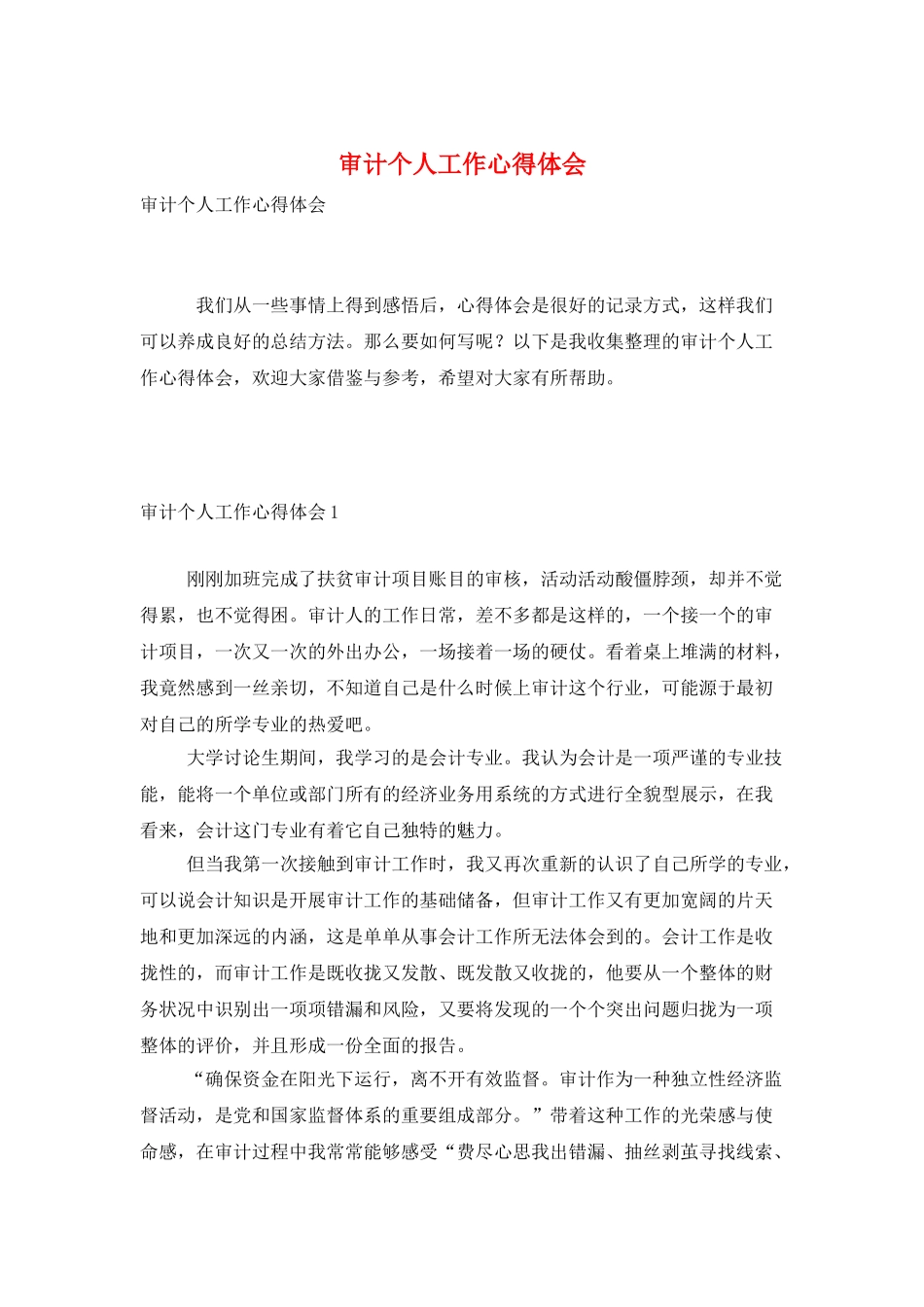 审计个人工作心得体会_第1页
