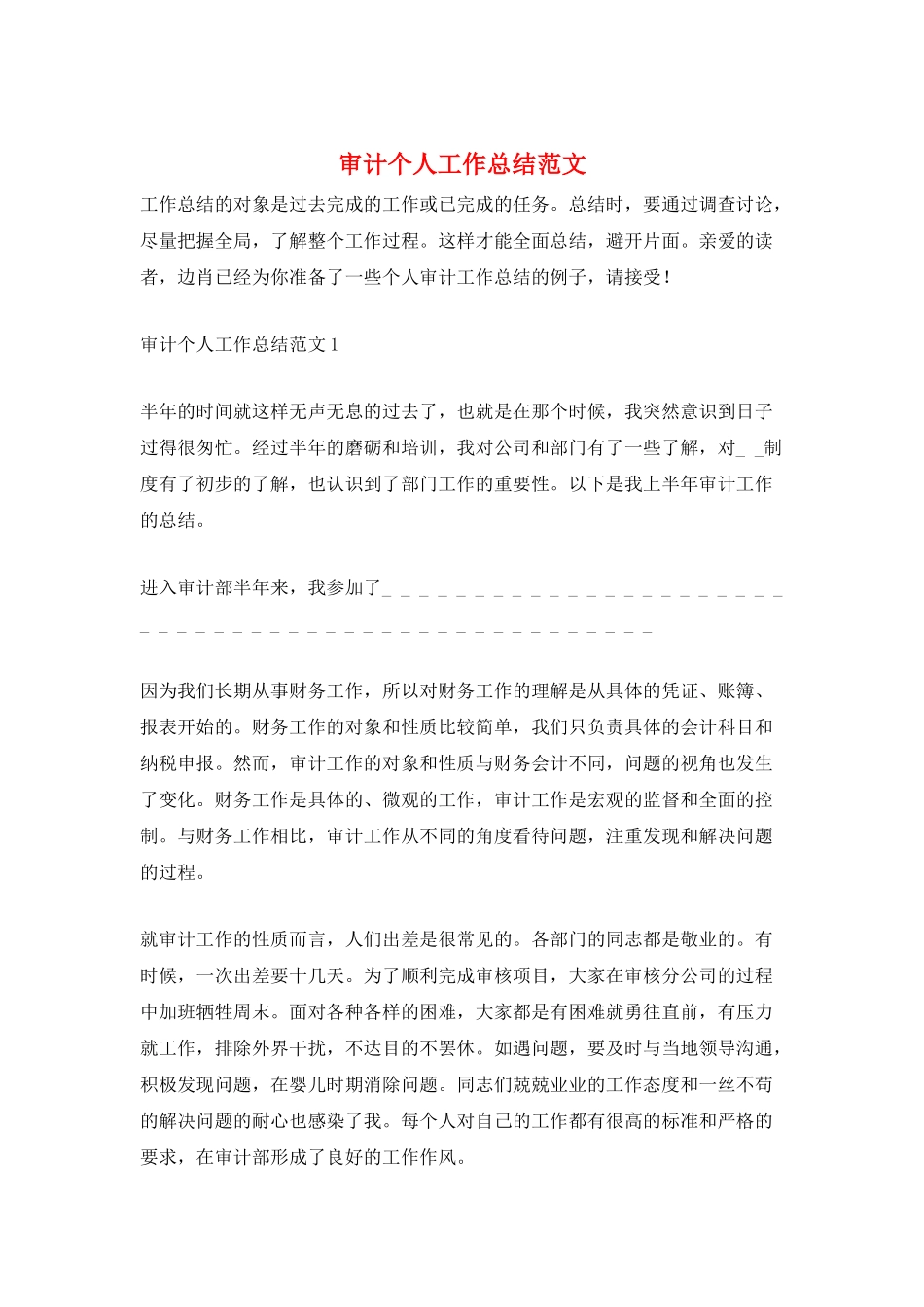 审计个人工作总结范文_第1页
