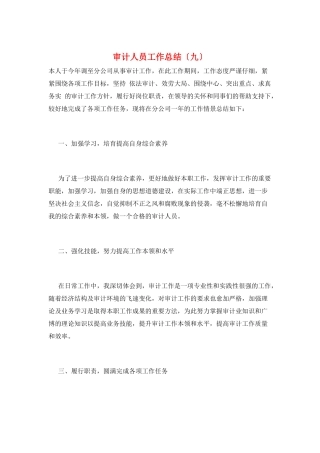 审计人员工作总结(九)