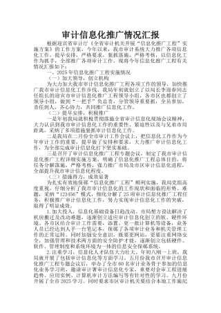 审计信息化推广情况汇报