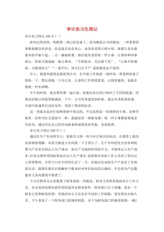 审计实习生周记