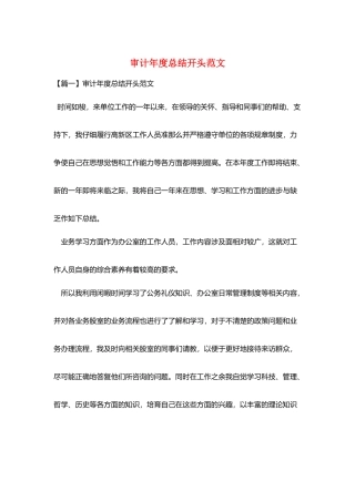 审计年度总结开头范文