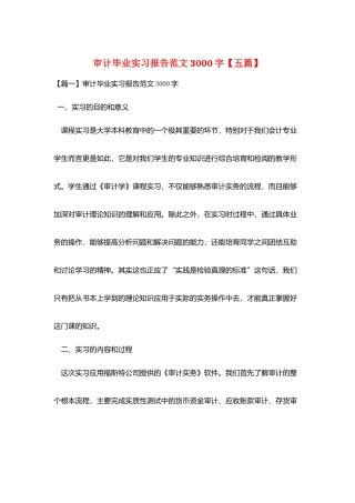审计毕业实习报告范文3000字