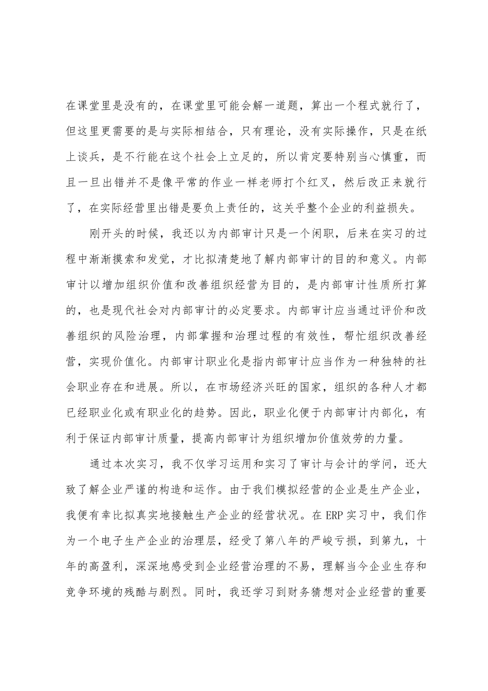 审计顶岗实习报告范文_第3页