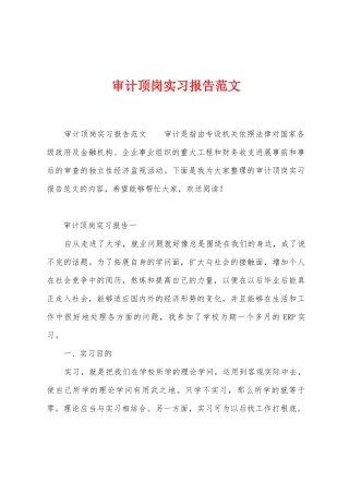 审计顶岗实习报告范文