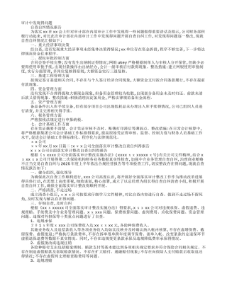 审计自查整改报告