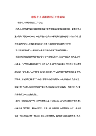 客服个人试用期转正工作总结