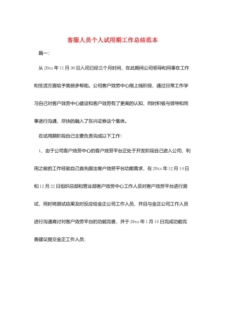 客服人员个人试用期工作总结范本