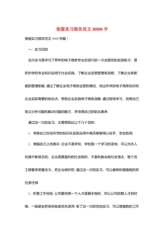 客服实习报告范文3000字