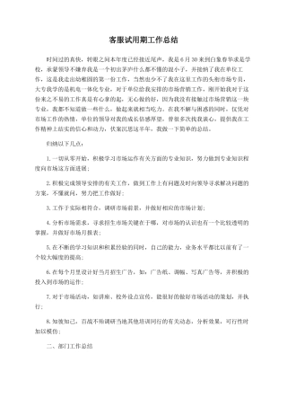 客服试用期工作总结