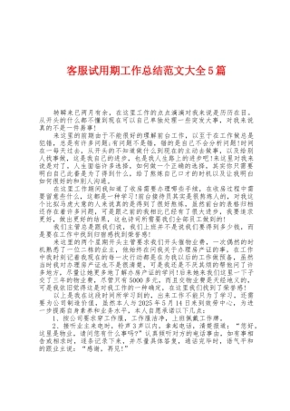 客服试用期工作总结范文大全5篇