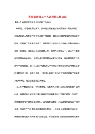 客服部新员工个人试用期工作总结