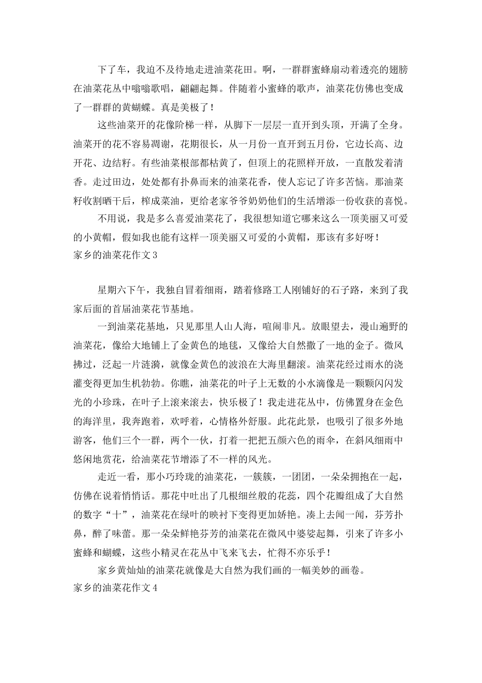 家乡的油菜花作文_第2页