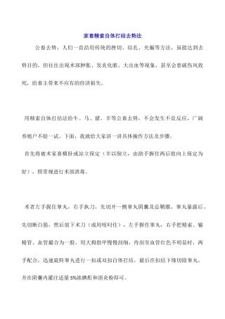 家畜精索自体打结去势法