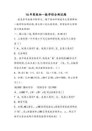 寒假初一数学综合测试题