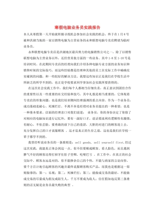 寒假电脑业务员实践报告