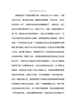 寒假电脑销售员实习报告范文