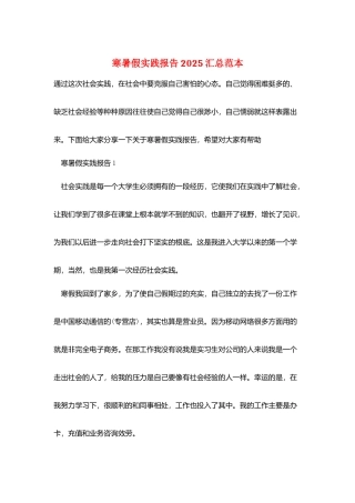 寒暑假实践报告2025汇总范本