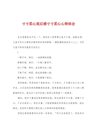 寸寸柔心观后感寸寸柔心心得体会