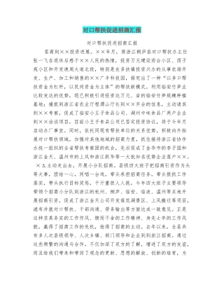 对口帮扶促进招商汇报
