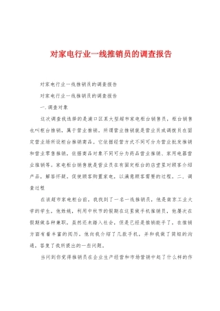 对家电行业一线推销员的调查报告