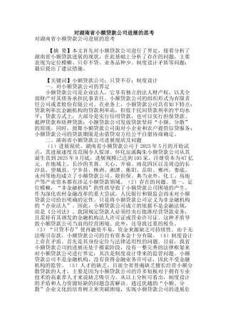 对湖南省小额贷款公司发展的思考
