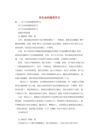 对生命的感受作文