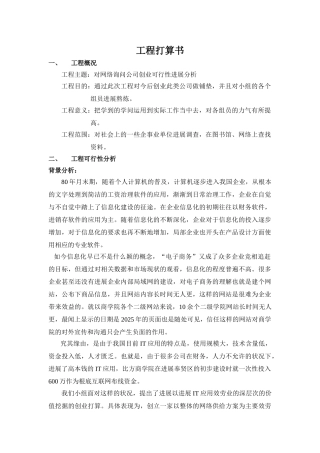 对网络咨询公司创业可行性进行分析