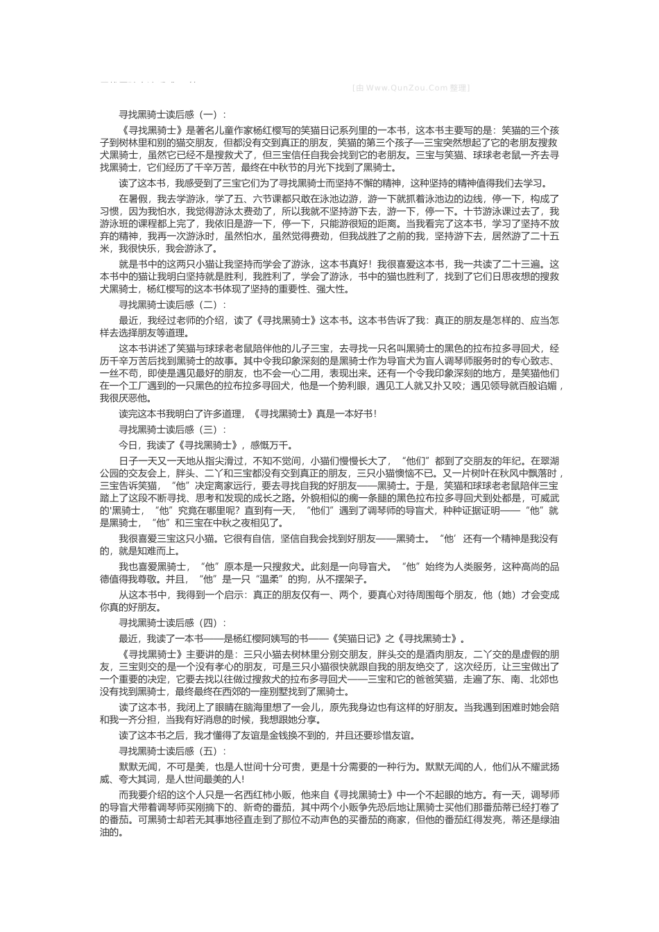 寻找黑骑士读后感_第1页
