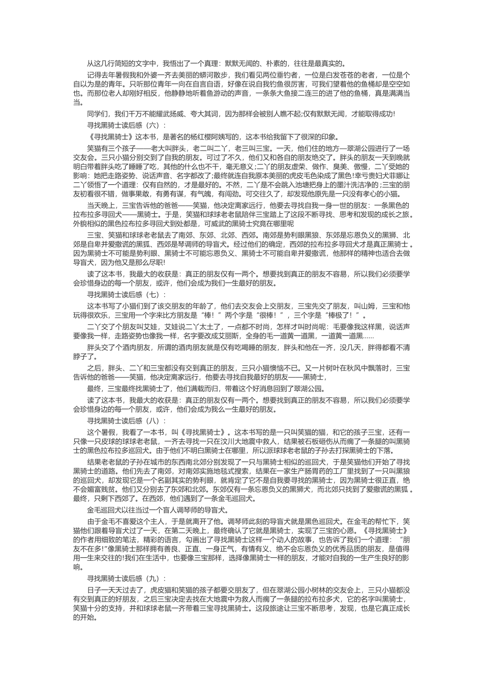 寻找黑骑士读后感_第2页