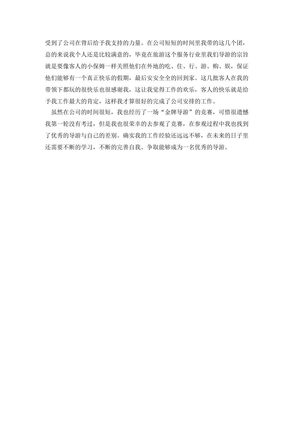 导游工作年终总结_第3页