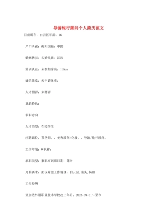 导游旅行顾问个人简历范文