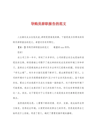 导购员辞职报告的范文