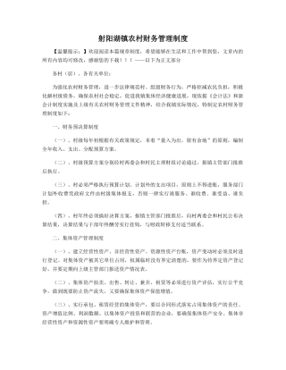 射阳湖镇农村财务管理制度精选