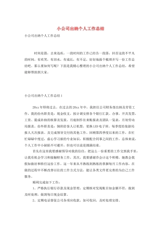 小公司出纳个人工作总结