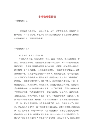 小动物观察日记