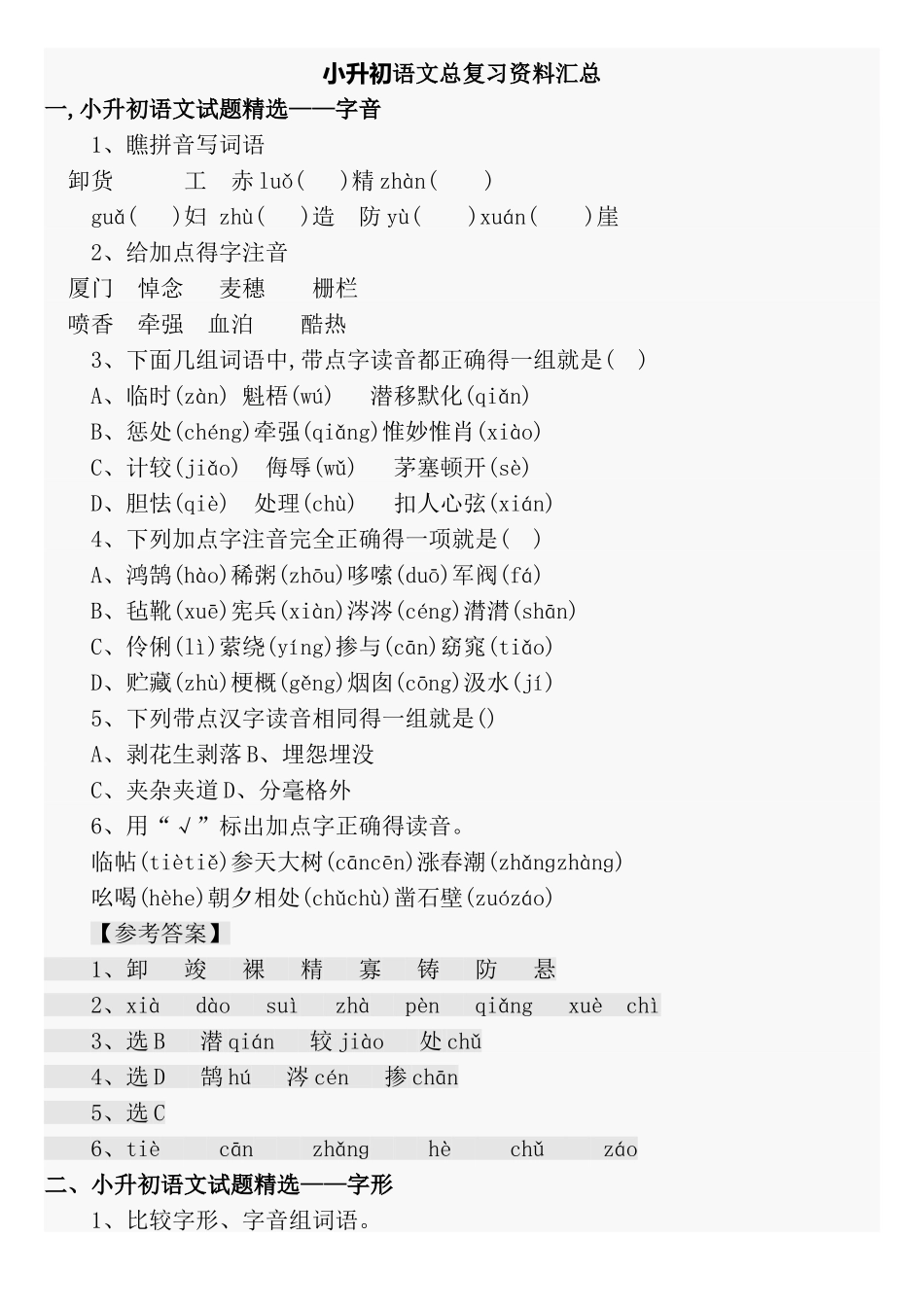 小升初语文总复习资料_第1页