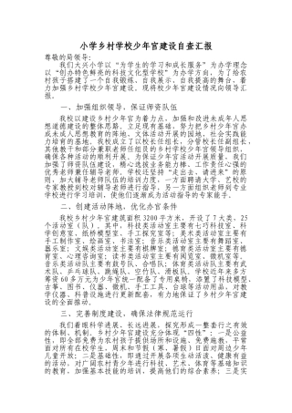 小学乡村学校少年宫建设自查汇报-