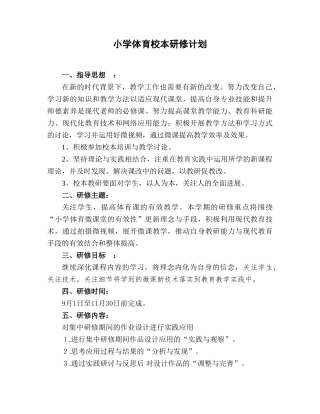 小学体育校本研修计划