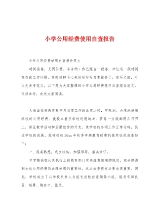 小学公用经费使用自查报告