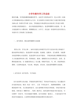 小学冬教冬学工作总结