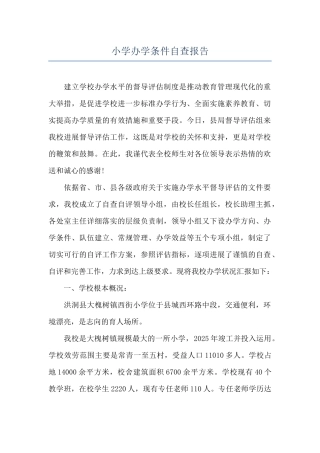 小学办学条件自查报告