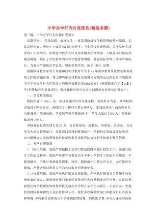 小学办学行为自查报告